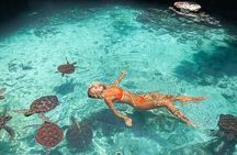 Salaam Aquarium Mtende Beach The Rock Restaurant Kae funk Sunset