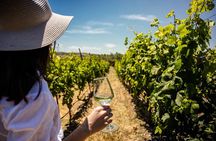 LUXURY PRIVATE Wine Tasting in CRETE (also for CRUISE SHIPS)