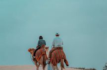 1 hour Private Camel Ride in Deep Desert