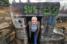  WWII History Tour with a 1940's British Officer in Reykjavik