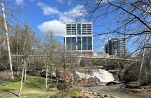 Pedego Electric Bike Tour at Greenville