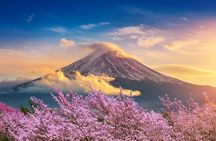 Mt Fuji Private Day Trip from Tokyo with English speaking driver