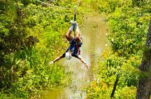 New Orleans Zipline Swamp Tour