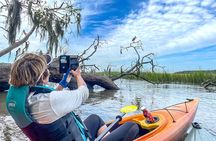 Hilton Head Outback Boat and Kayak Adventure