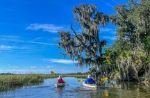 Hilton Head Outback Boat and Kayak Adventure