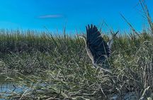 Hilton Head Outback Boat and Kayak Adventure