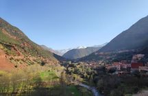 Atlas Mountains & Ourika Valley Tour with Waterfall Hike & Lunch