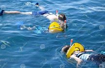 Snorkeling Boat Trip with Transfer and Lunch