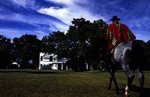 Gaucho Tour in San Antonio de Areco and Authentic Estancia