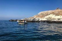 Marine life & flavors of the Pacific Full Day Private Tour