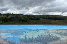 Algonquin Provincial Park Full Day Trip
