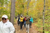 Algonquin Provincial Park Full Day Trip