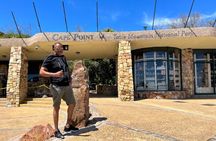Cape Peninsula Full Day Private Experience 