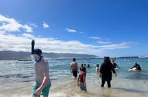 Circle Island Tour