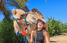 Electric Bike and Beach Camel Ride with Mexican Buffet Lunch