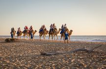 Electric Bike and Beach Camel Ride with Mexican Buffet Lunch