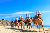 Electric Bike and Beach Camel Ride with Mexican Buffet Lunch
