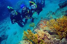 Wunyami Cultural Tour on Green Island's Eco Adventure