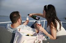 Long Beach: 2 hour yacht sea life trip (1 ticket covers 1-6 ppl)