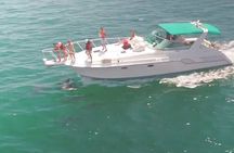 Long Beach: 2 hour yacht sea life trip (1 ticket covers 1-6 ppl)