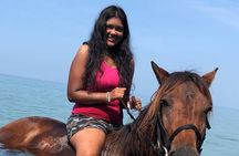 Private Horseback Riding, Swim & Blue Hole Secret Falls 