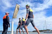Learn to eFoil on Noosa River-90min Lesson with Fliteschool Noosa