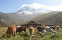 7 Day Private Tour of the Best Places in the Andes and the Amazon