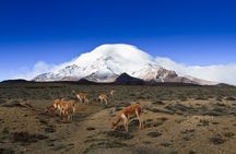 7 Day Private Tour of the Best Places in the Andes and the Amazon
