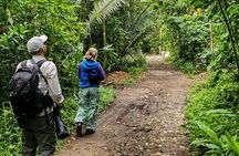 Salento: Birding along the Torrent River
