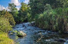 Salento: Birding along the Torrent River