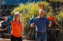 Maleny Botanic Gardens Bird Aviary Experience Ticket