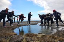 Small Group Jeju island Private Mini-Bus Tour 