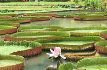 Full Day Flexi Private Tour in Penang Island with Pickup