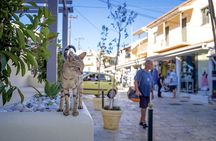 Canal d'Amour, Kassiopi and Barbati Tour