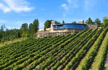 Bilbao Txakoli Wine Tour
