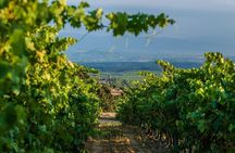 Rioja Wine Tour: wineries and Laguardia from Bilbao