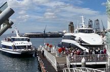 Half Day Robben Island Tour with Customizable Options 