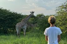 Private Walking Tour with Giraffes
