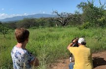 Private Walking Tour with Giraffes