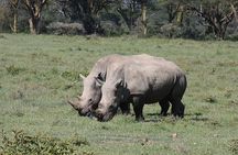 2 Day Tour Hells Gate, Lake Naivasha & Lake Nakuru from Nairobi