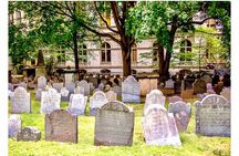 Private driving tour of Boston groups of 5-6