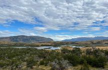 Private Bird Watching Experience in Cerro Castillo