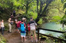 Rio Celeste: Waterfall, Tubing & Lunch From La Fortuna