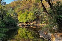 Sanjay Gandhi National Park and Kanheri Caves Day Private Tour