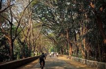 Sanjay Gandhi National Park and Kanheri Caves Day Private Tour