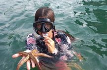 All-inclusive Colomitos cruise and Animas beach snorkeling 