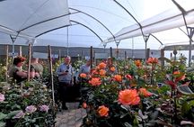 Private 3D and 2N Tour in Cotopaxi, Baños de Agua, Puyo, Quito