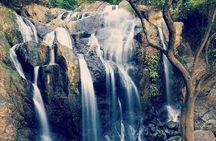 Combination: Argyle Waterfall & Tropical Garden with Hummingbirds