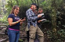 Explore Biodiversity in the Chicaque Cloud Forest Nature Reserve