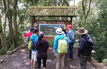 Explore Biodiversity in the Chicaque Cloud Forest Nature Reserve